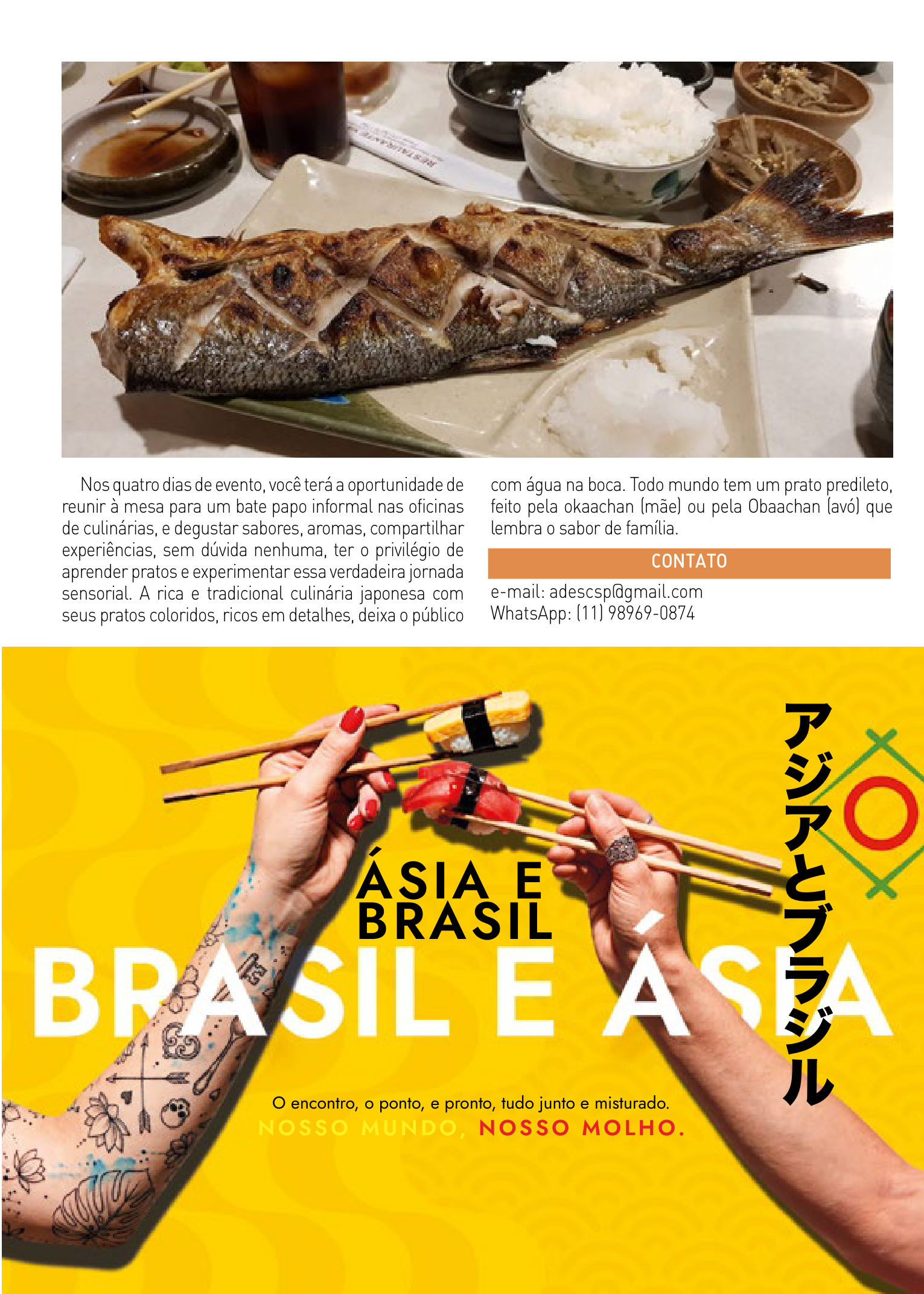 Guia Cultural do Festival da Cultura Japonesa de Salvador 2026 - página 15